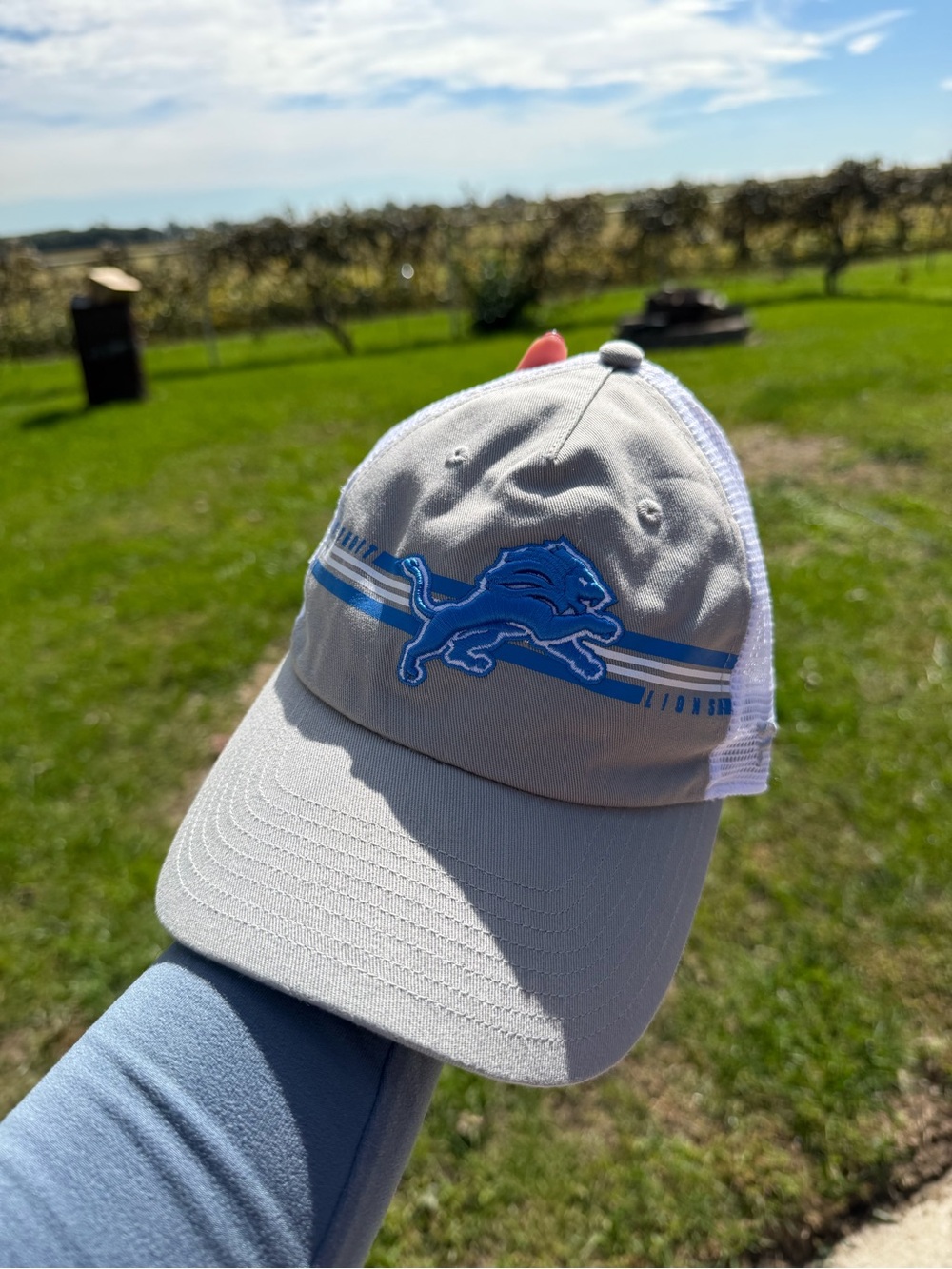 Detroit Lions Hat